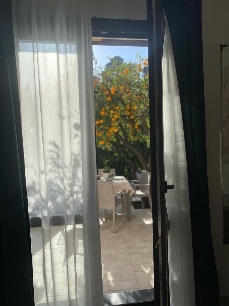 ויאגרנדה Casa Vacanza Il Mandarino מראה חיצוני תמונה